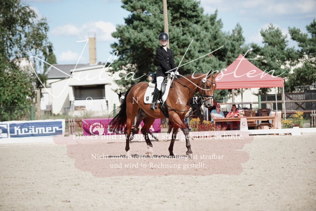DSC_9903 | Pferde- und Turnierfotografie in Westsachsen. Pferdeportraits, Auftragszeichnungen und intuitive Kunst.