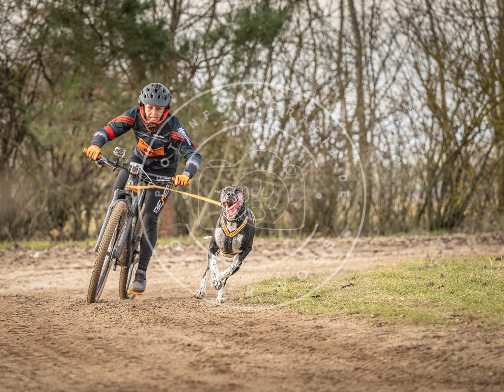 Pfotenfotografie_DV3A7197 | Hundefotografie, Tierfotograf, Pfotenfotografie, Fotoshooting Hund, Hunde Portrait, Hundesport, Hundeportraits, Heideshooting, Hunde, Sportfotograf, Hundefotograf, Turnierhundsport, THS,  - Realisiert mit Pictrs.com