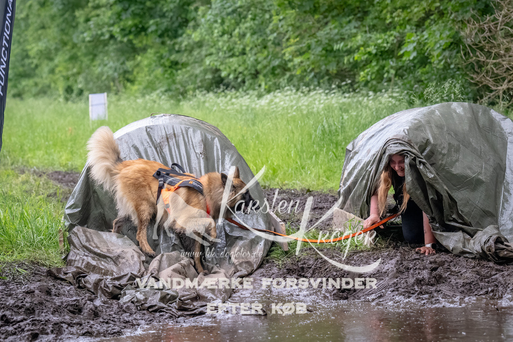 1607_ZZ92394-Bearbeitet | kk-dogfotos