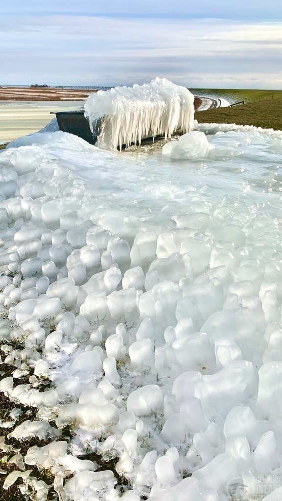 IMG_3150 | Björn Thiemann; Ogenblick.de; Fotografie; Photograph; Landscape, Pellworm, Schleswig-Holstein; Inselfotograf; Inselfotografien; Wattenmeer; National-Park; Naturschutzgebiet; Leuchtturm; Lighthouse; Leinwandbilder; Kalender; Pellworm Kalender;  - Realisiert mit Pictrs.com