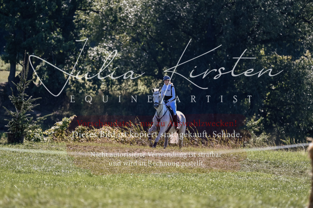 DSC_2020 | Pferde- und Turnierfotografie in Westsachsen. Pferdeportraits, Auftragszeichnungen und intuitive Kunst.