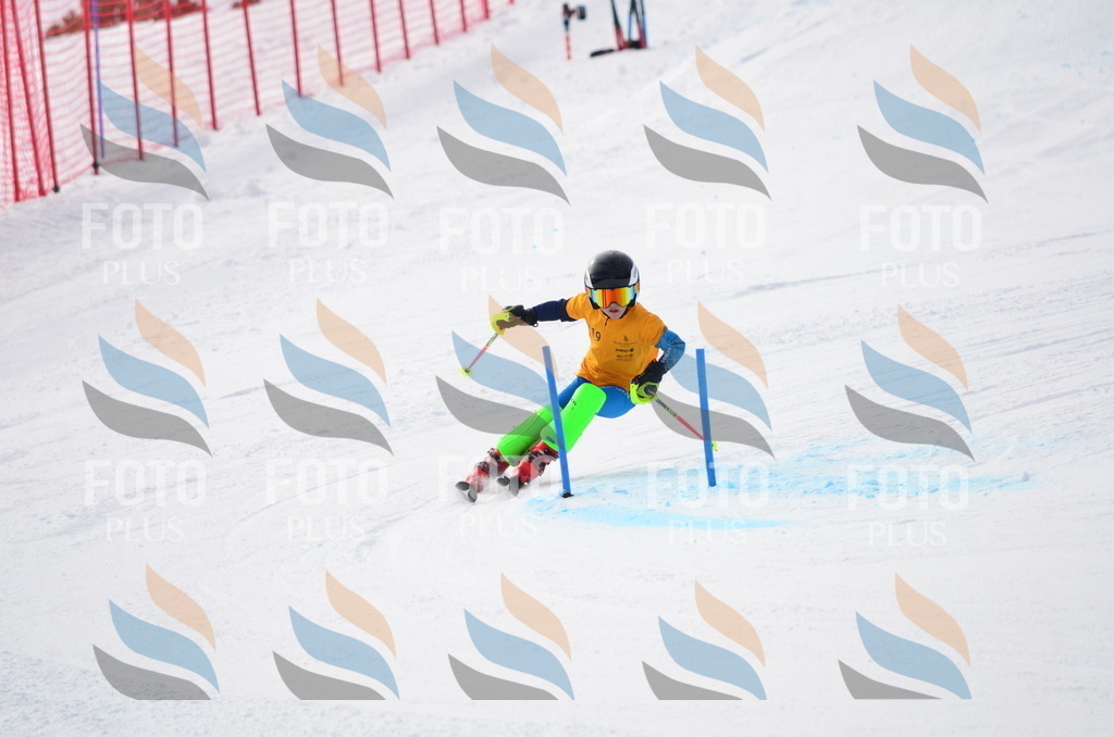 C8226 | holidayphoto