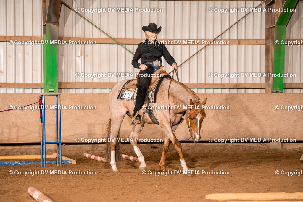 BA400106 | dv-media-shop - Realisiert mit Pictrs.com