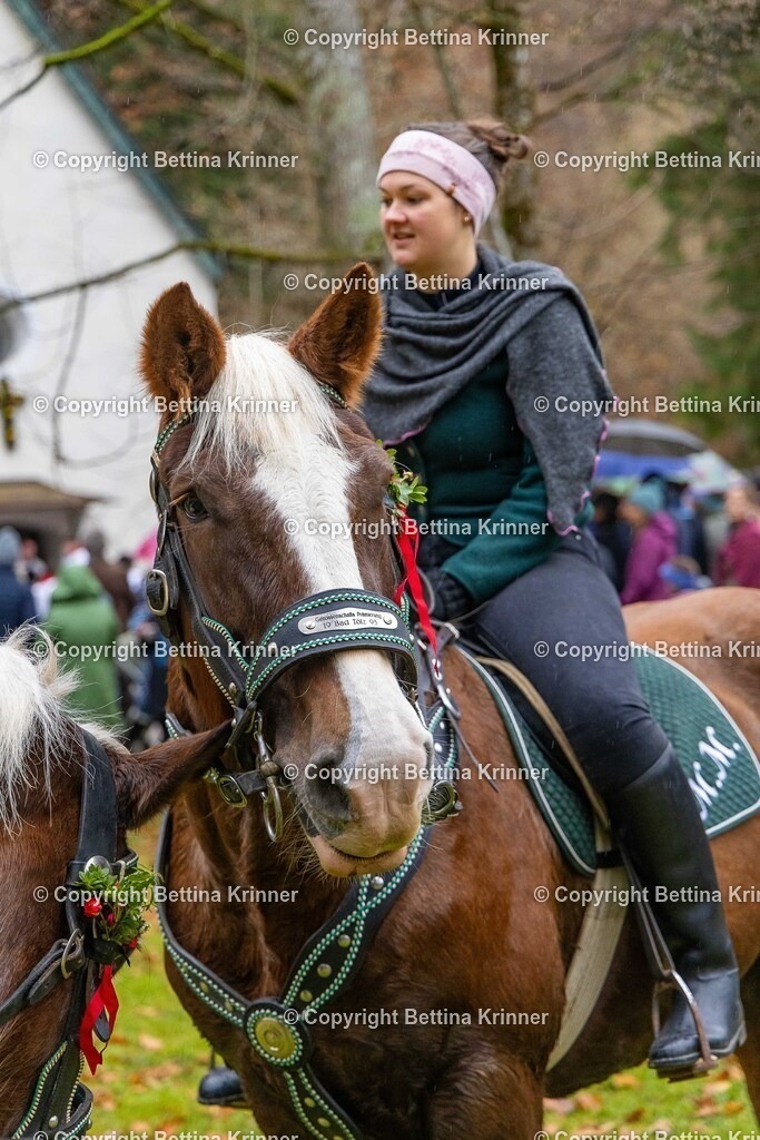 LL25-190 | foto-bettina-krinner - Realisiert mit Pictrs.com