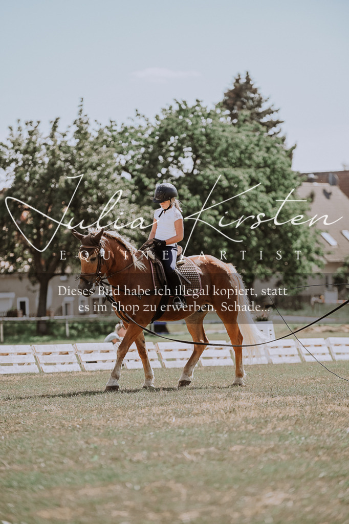 DSC_7818 | Pferde- und Turnierfotografie in Westsachsen. Pferdeportraits, Auftragszeichnungen und intuitive Kunst.