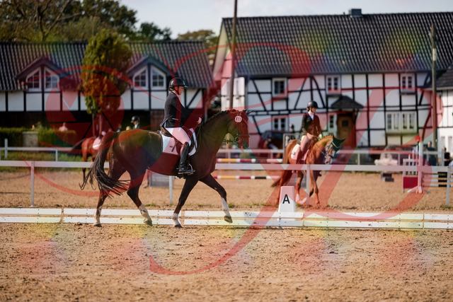 2026_10_03_Siefer-Hof_132308_Z63_84170673 | Professionelle Reitsport-, Turnier- und Eventfotografie von Robert Broda. Galerien mit ausgewählten und bearbeiteten Bildern direkt online ansehen und bestellen.