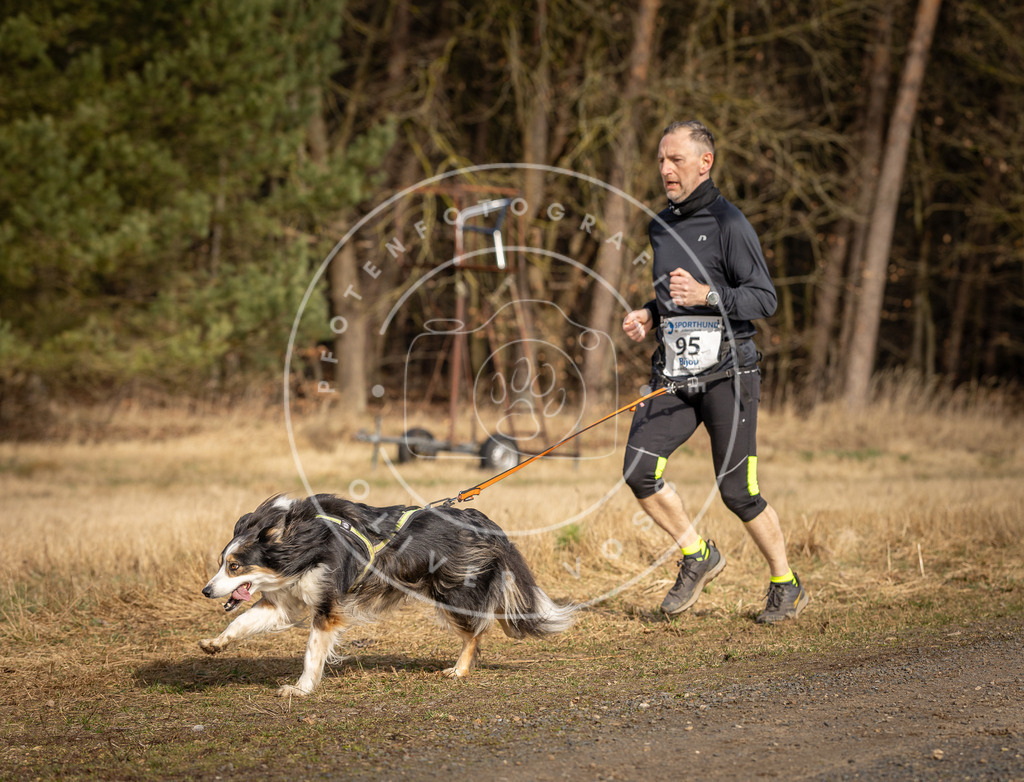 DV3A3931 | Hundefotografie, Tierfotograf, Pfotenfotografie, Fotoshooting Hund, Hunde Portrait, Hundesport, Hundeportraits, Heideshooting, Hunde, Sportfotograf, Hundefotograf, Turnierhundsport, THS,  - Realisiert mit Pictrs.com