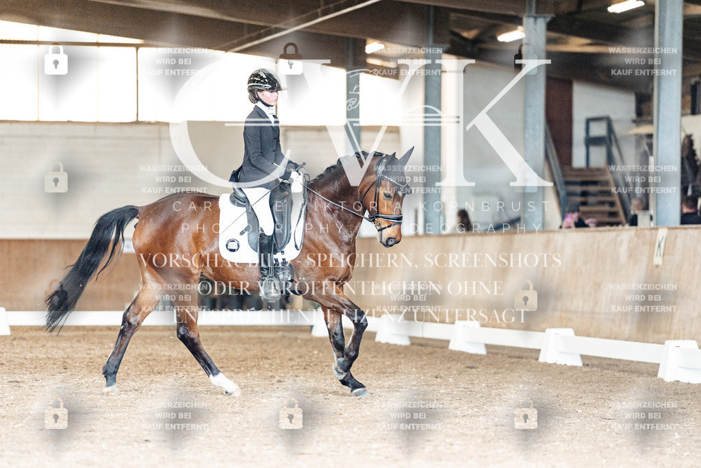 CK901998 | Turnierfotografie Pferdefotografie Trier Rheinland-Pfalz Pferdesport Reitsport Tierfotografie Sportfotografie Pferdevideo Pferdevideografie Equestrianvideography equestrianphotography  - Realisiert mit Pictrs.com