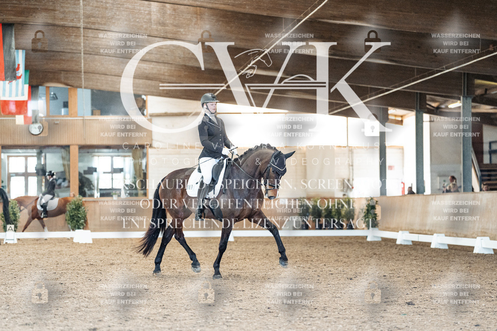 CK908826 | Turnierfotografie Pferdefotografie Trier Rheinland-Pfalz Pferdesport Reitsport Tierfotografie Sportfotografie Pferdevideo Pferdevideografie Equestrianvideography equestrianphotography  - Realisiert mit Pictrs.com