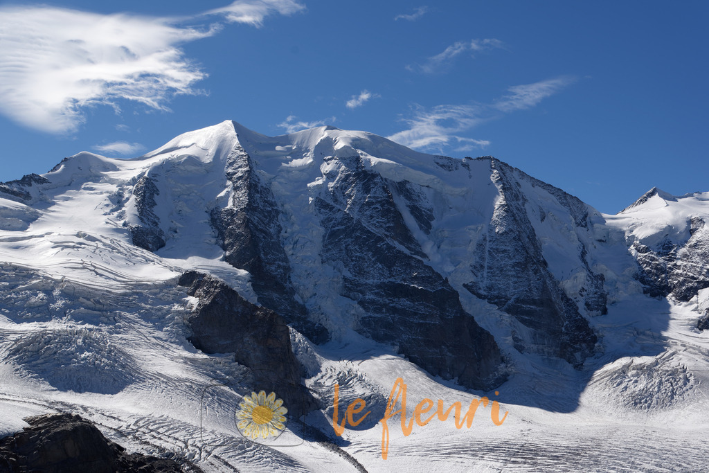 DSC_0073-NEF_DxO_PRIME | Dies ist der Shop von Florian Blum - le fleuri. Langenthal, Bern, Schweiz. Sie können hier meine oder ihre eigenen Fotos als Fotoprodukte kaufen. Tassen, Schlüsselanhänger, Taschen etc. können Sie hier gestalten.  - Realisiert mit Pictrs.com