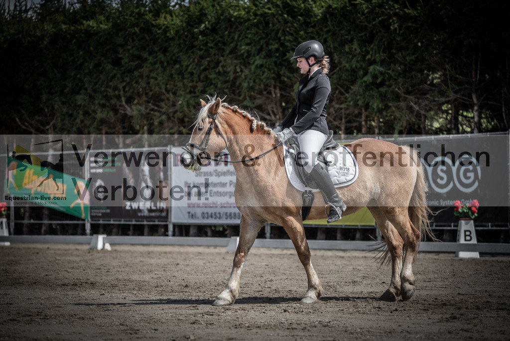 DSC_0712 | equestrian-live-com