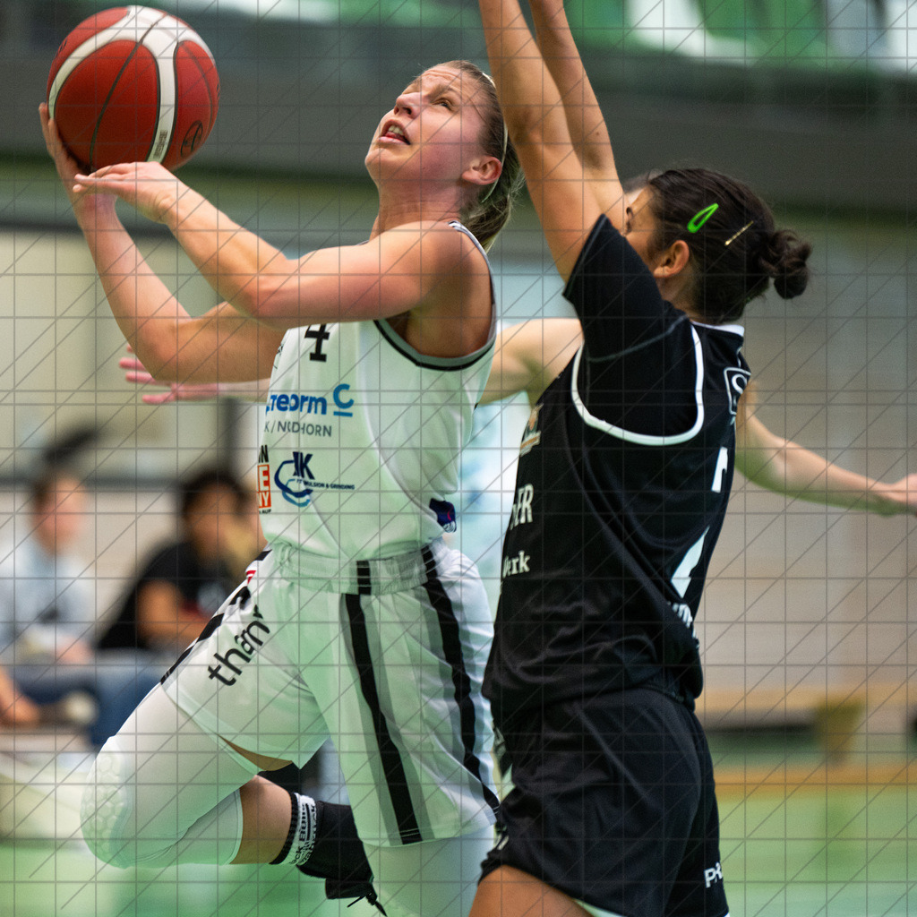 2. DBBL Nord 24/25 | 06.10.2024 | BBC OS vs. Bender Baskets Grünberg | 2. DBBL Nord 24/25 | 06.10.2024 | BBC OS vs. Bender Baskets Grünberg - - - - - CREDIT, www.bullenfotos.de, Martin König, Hörner Weg 40, D-49078 Osnabrück, +4917663732967, Nutzung und Weitergabe nur zu den vereinbarten Zwecken. Presseanfragen an Urheber. Alle Rechte beim Urheber. - - - - - - Realisiert mit Pictrs.com