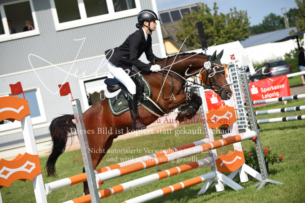 DSC_8928 | Pferde- und Turnierfotografie in Westsachsen. Pferdeportraits, Auftragszeichnungen und intuitive Kunst.