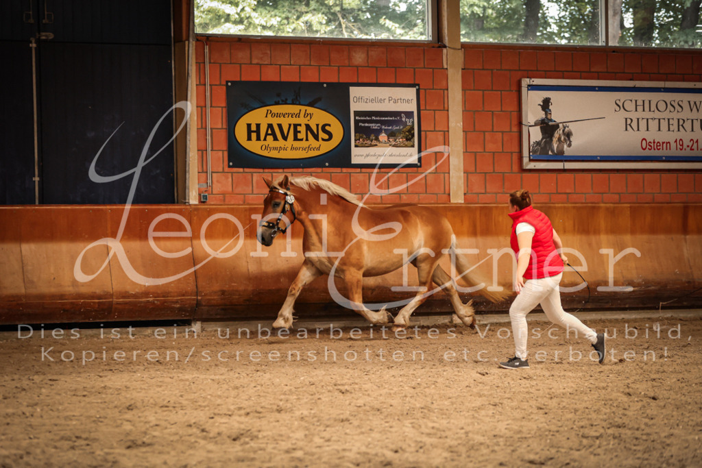 SaFL00278 | Leoni Ertmer Photography - Realisiert mit Pictrs.com