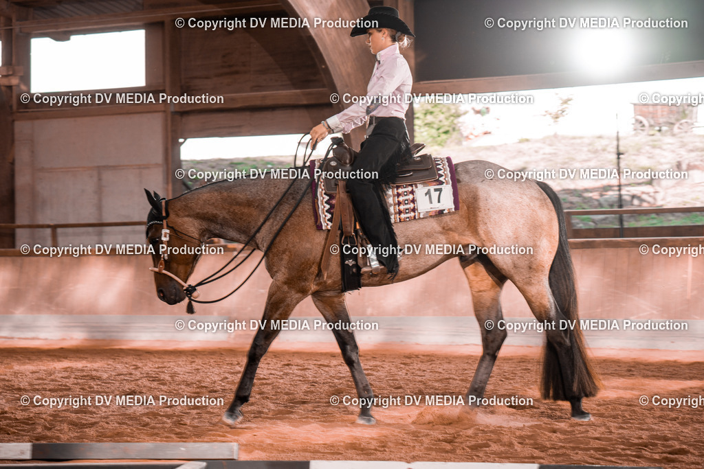 NE200126 | dv-media-shop - Realisiert mit Pictrs.com