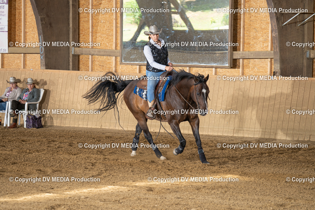 DSC00165 | dv-media-shop - Realisiert mit Pictrs.com