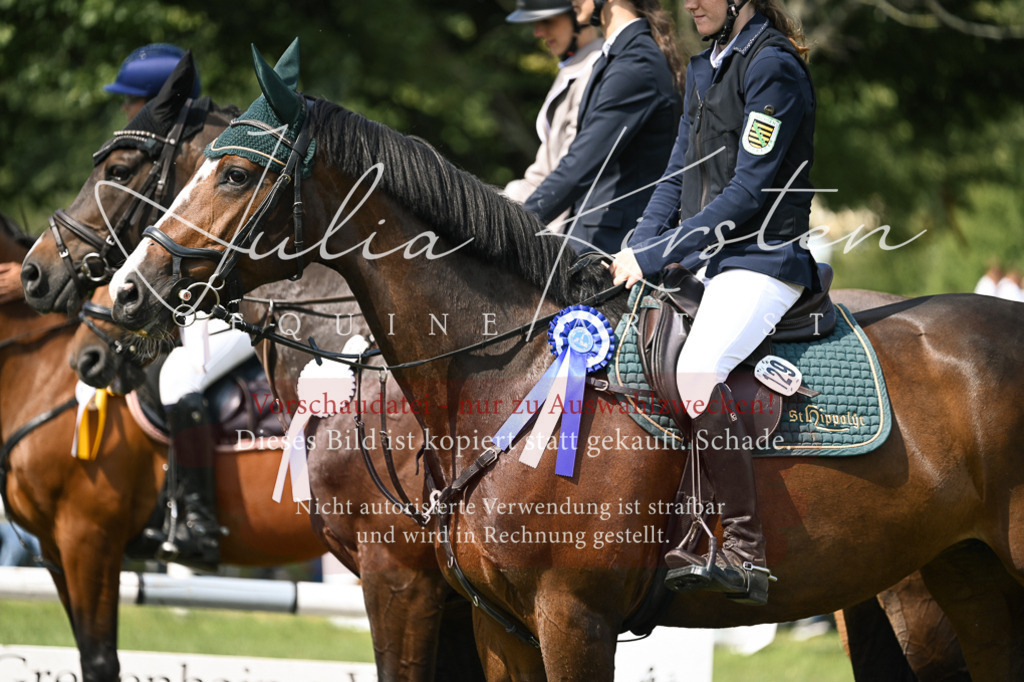 DSC_0703 | Pferde- und Turnierfotografie in Westsachsen. Pferdeportraits, Auftragszeichnungen und intuitive Kunst.