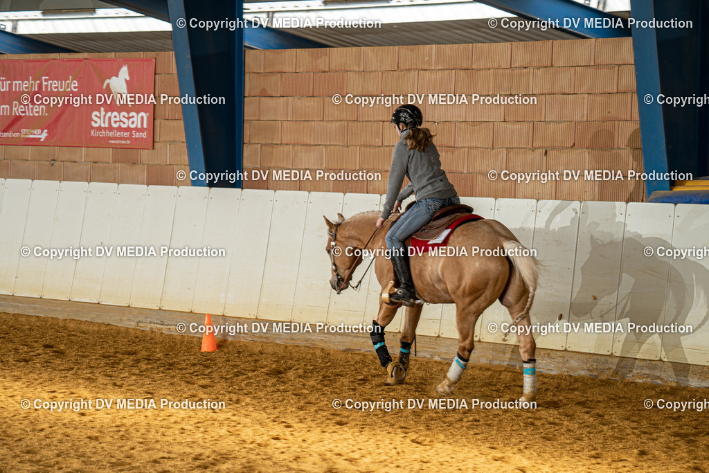 MIT00101 | dv-media-shop - Realisiert mit Pictrs.com