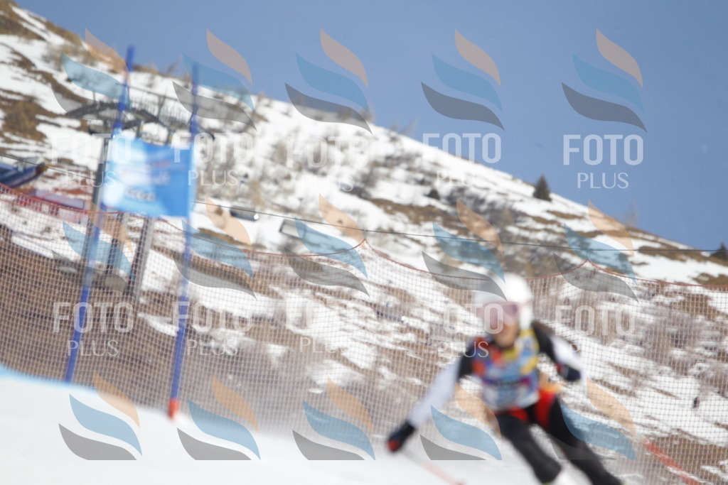 _U3G8889 | holidayphoto