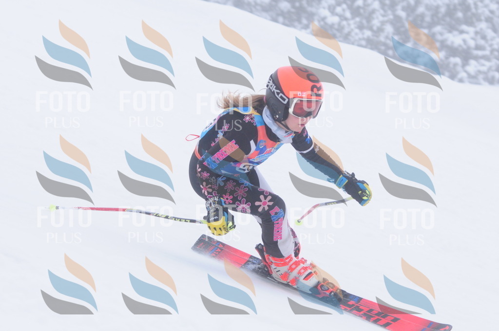 C2766 | holidayphoto