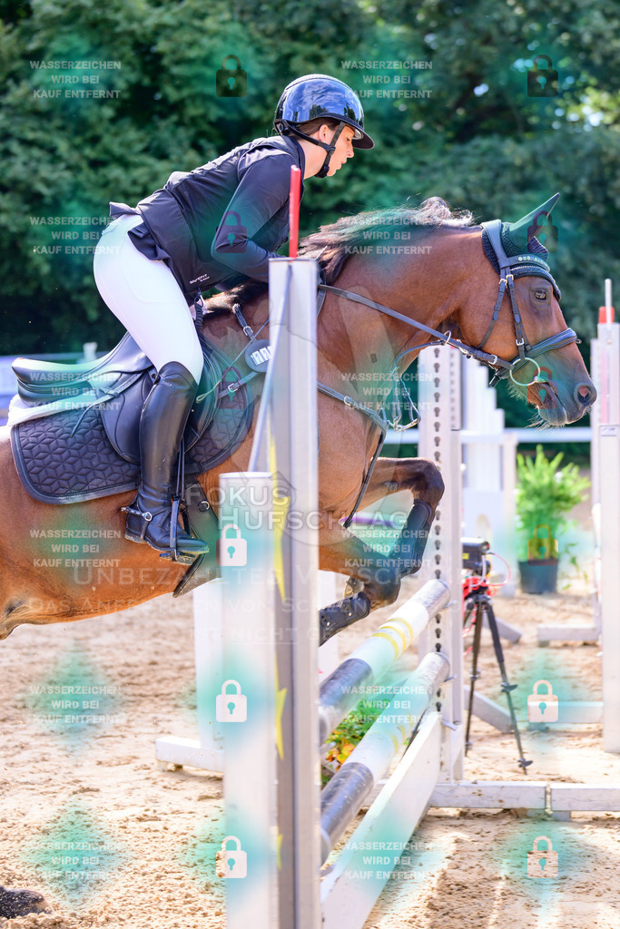 30082026-Giesenbach-Prfg16-0611 | Fokus Hufschlag Fotografie - Realisiert mit Pictrs.com