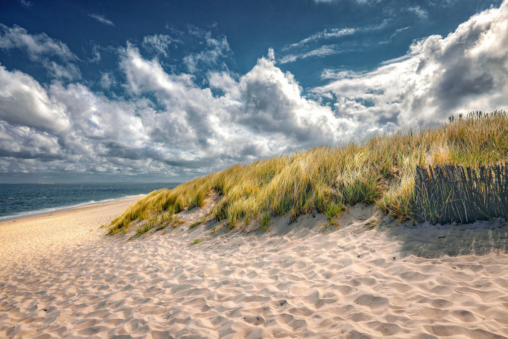 Malerische Küstenlandschaft auf Sylt-----Nordseeinsel | Das Foto zeigt eine malerische Küstenlandschaft mit Sanddünen und Strandhafer an der Nordsee.Die Aufnahme fängt die unberührte Natur des Lister Ellenbogens auf der Nordseeinsel Sylt ein, Deutschlands nördlichstem Punkt.Sanfte Hügel aus feinem, hellem Sand, die ein geschütztes Ökosystem bilden.Bewachsen mit charakteristischem Strandhafer, dessen tiefe Wurzeln den Sand stabilisieren und die Dünen vor Winderosion schützen.Naturschutzgebiet: Die Region um den Ellenbogen zeichnet sich durch unberührte Natur, freilaufende Schafe und Ruhe abseits des Massentourismus aus - Realisiert mit Pictrs.com