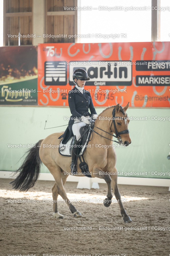 _D5A1776 | Emotionale Pferde- & People-Fotografie rund um Heidelberg, Leimen & Umgebung. Natürliche Fotos von Pferd, Mensch & Familie. Jetzt Termin sichern!