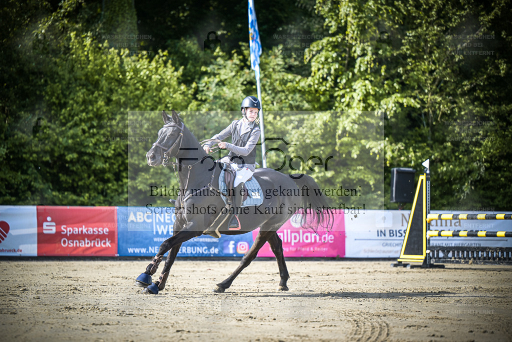 DOS_2997 | Entdecke hochwertige Reitturnierfotos von Foto Oger. Professionell, emotional und authentisch – jetzt Lieblingsmomente im Shop bestellen. - Realisiert mit Pictrs.com