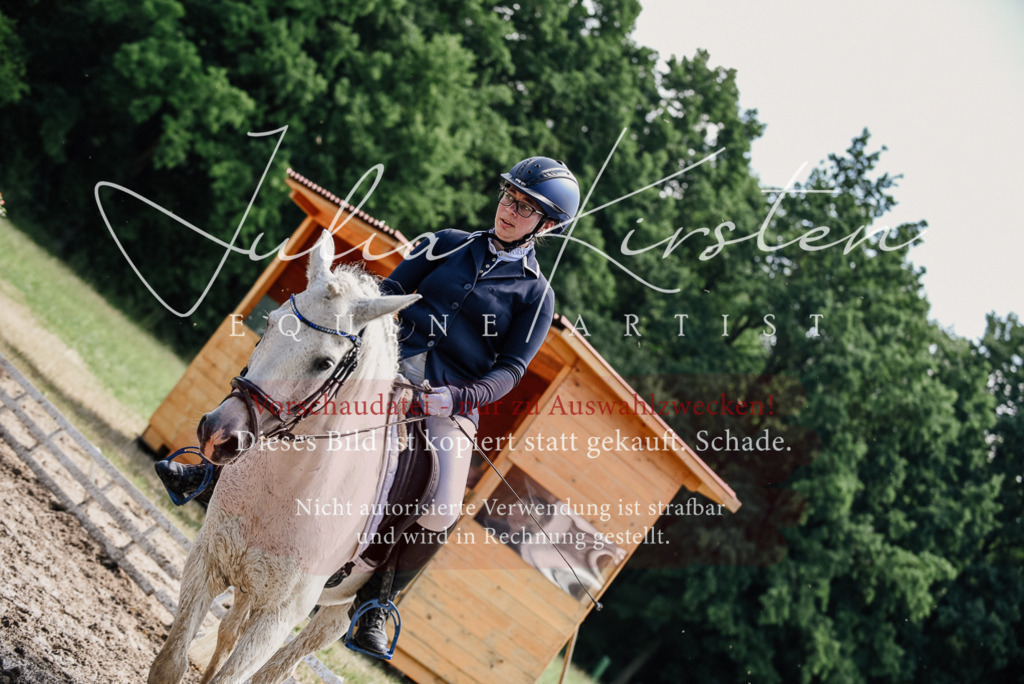 DSC_1818 | Pferde- und Turnierfotografie in Westsachsen. Pferdeportraits, Auftragszeichnungen und intuitive Kunst.