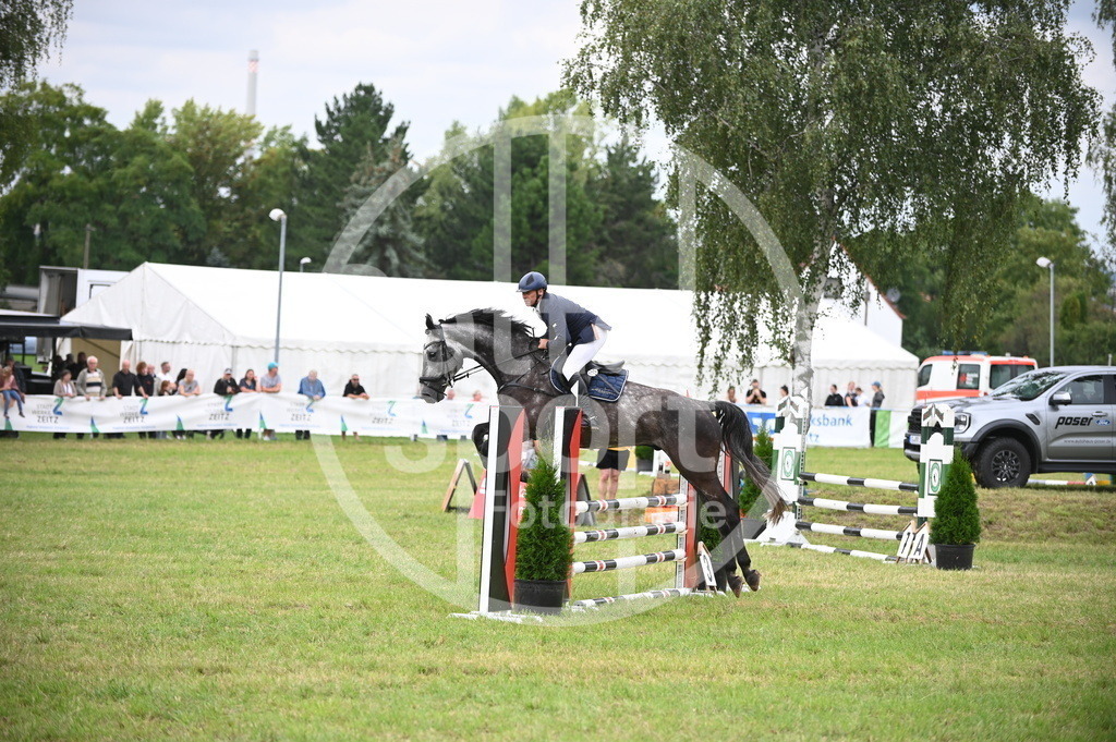 DSC_1408 | sattelsport - Realisiert mit Pictrs.com