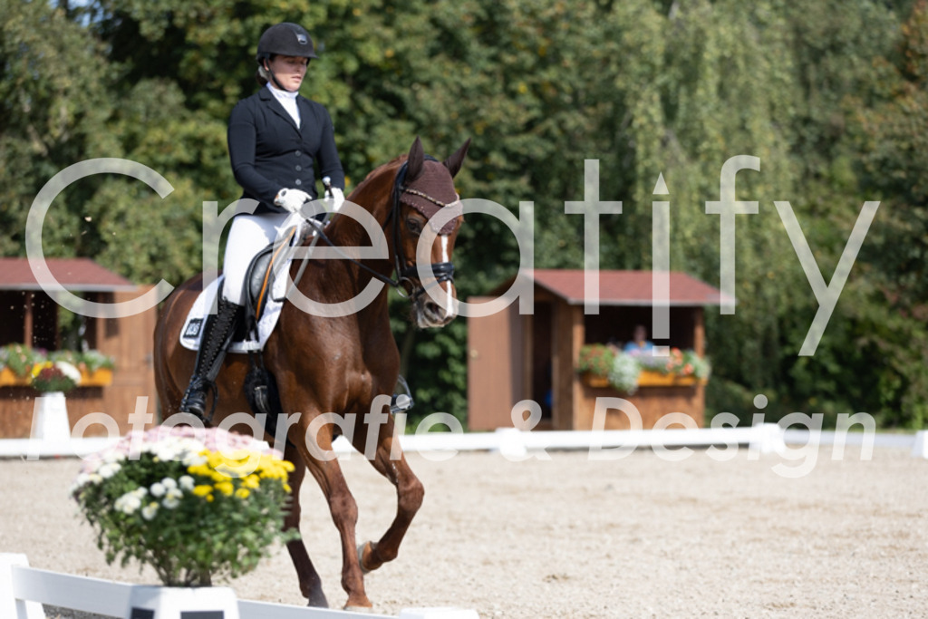 IMG_3442 | Creatify Fotografie