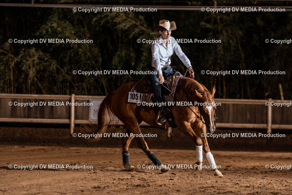 Erbach Tag 1-1310 | dv-media-shop - Realisiert mit Pictrs.com