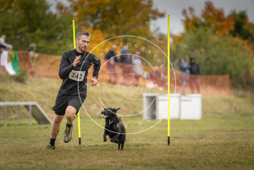 Pfotenfotografie_DV3A5521 | Hundefotografie, Tierfotograf, Pfotenfotografie, Fotoshooting Hund, Hunde Portrait, Hundesport, Hundeportraits, Heideshooting, Hunde, Sportfotograf, Hundefotograf, Turnierhundsport, THS,  - Realisiert mit Pictrs.com