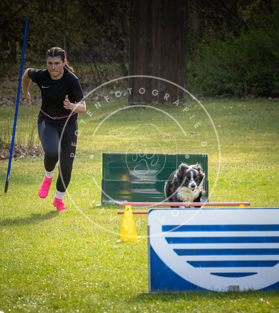 Pfotenfotografie_DV3A3655 | Hundefotografie, Tierfotograf, Pfotenfotografie, Fotoshooting Hund, Hunde Portrait, Hundesport, Hundeportraits, Heideshooting, Hunde, Sportfotograf, Hundefotograf, Turnierhundsport, THS,  - Realisiert mit Pictrs.com