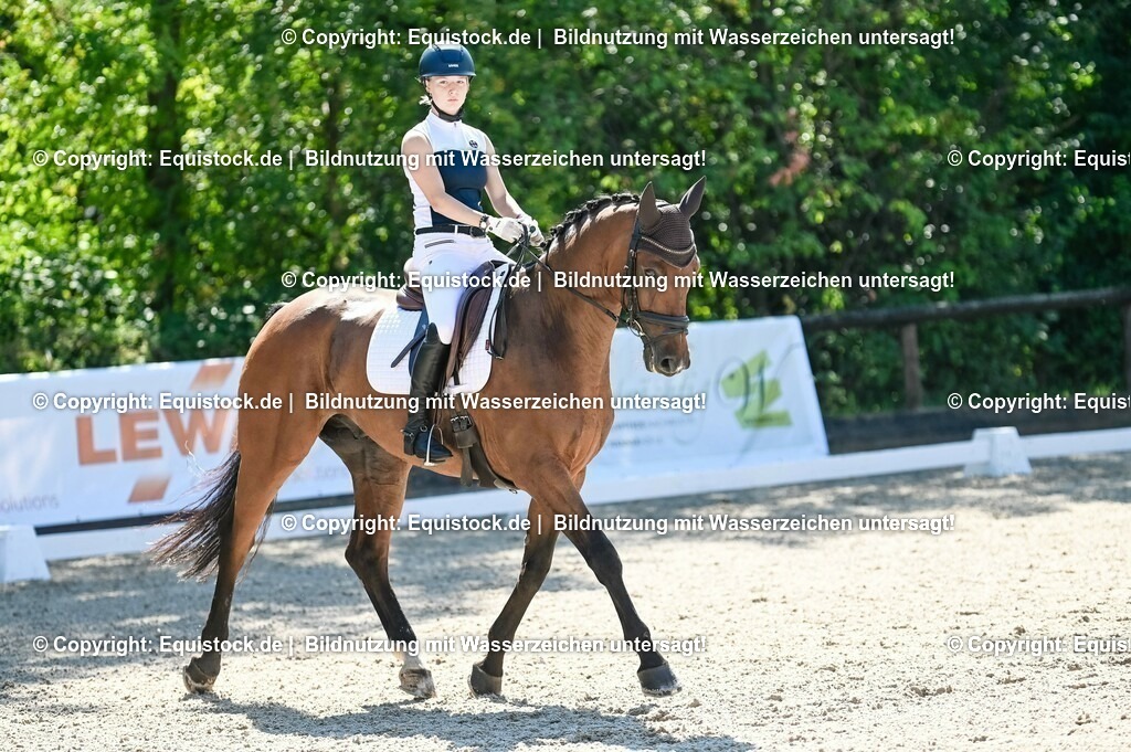 20230908_06_Dressur-L-Trense_0353 | equistock