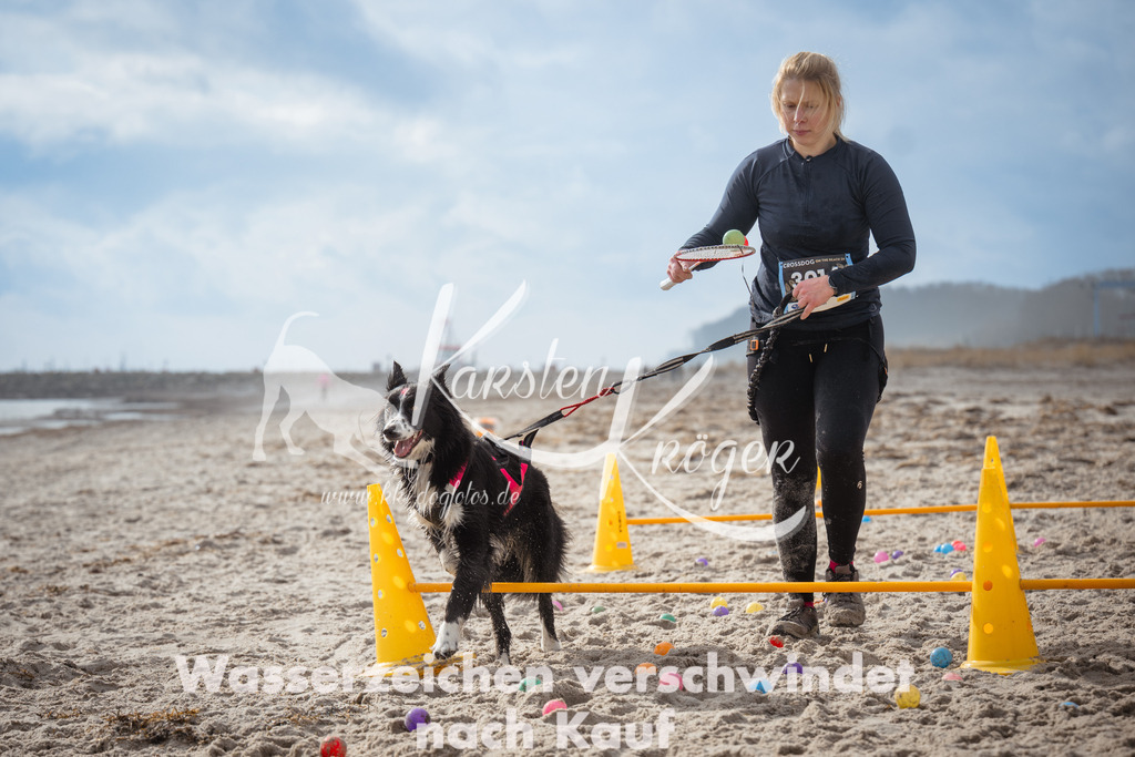1217_ZZ96091 | kk-dogfotos