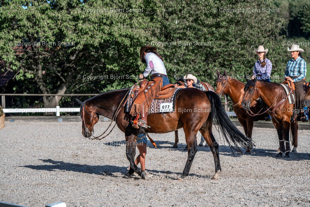 HOB09699 | BS-foto