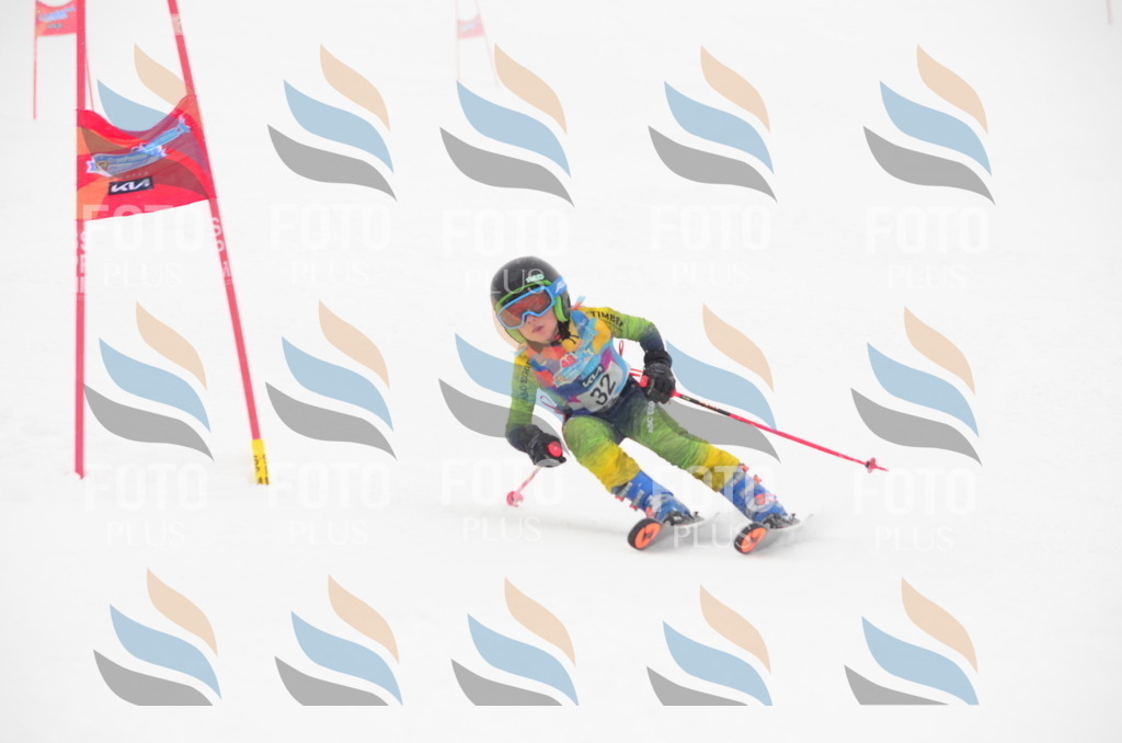 C0770 | holidayphoto