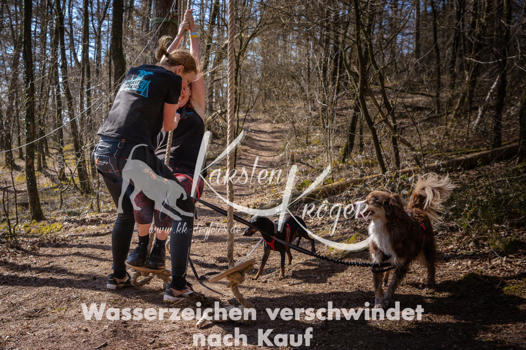 1128_ZZ98273 | kk-dogfotos