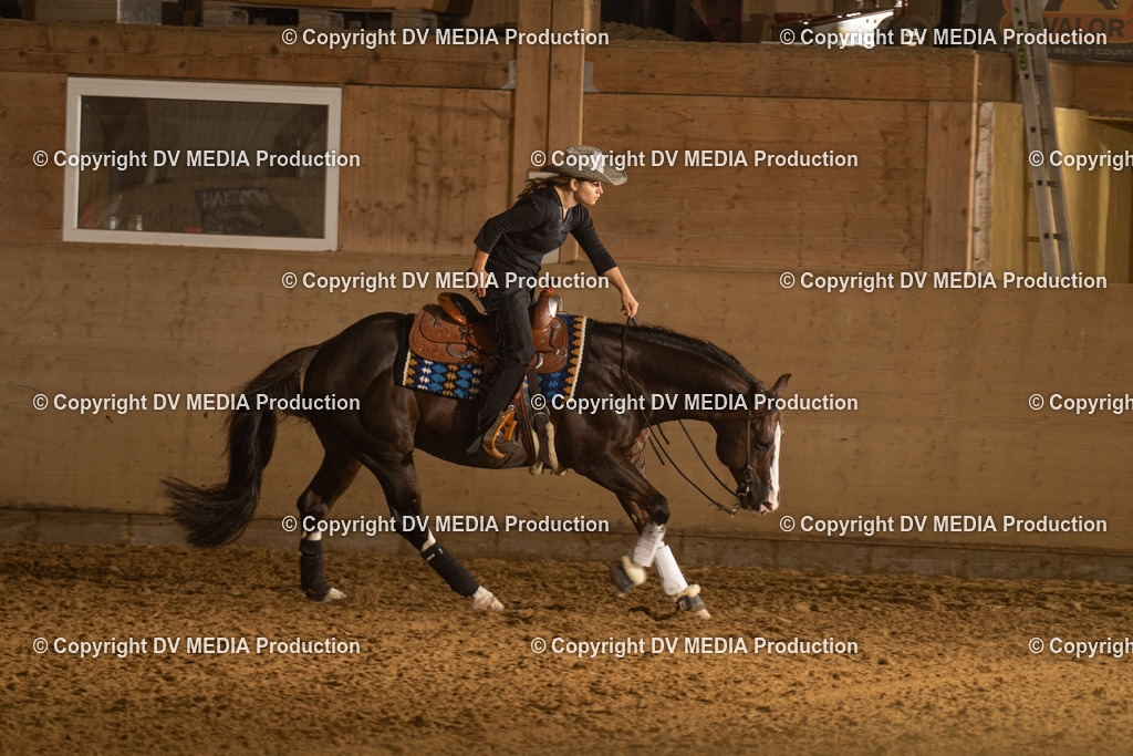 LAU00422 | dv-media-shop - Realisiert mit Pictrs.com