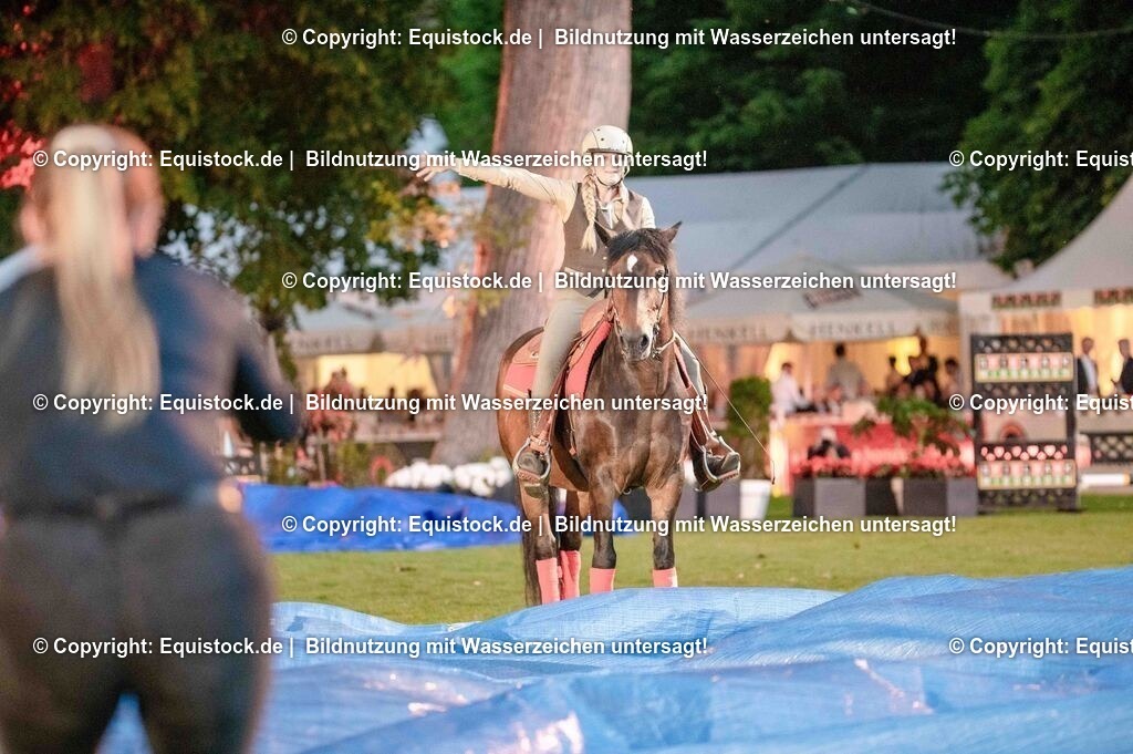 20250606_Lange-Pferdenacht_1016 | Foto: Thomas Hartig