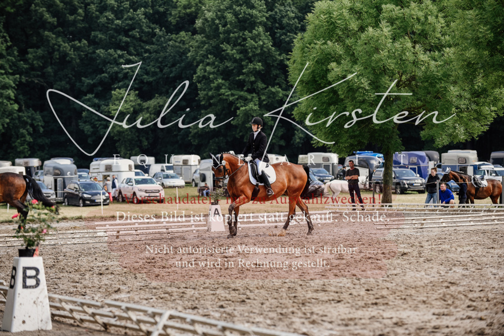 DSC_9768 | Pferde- und Turnierfotografie in Westsachsen. Pferdeportraits, Auftragszeichnungen und intuitive Kunst.