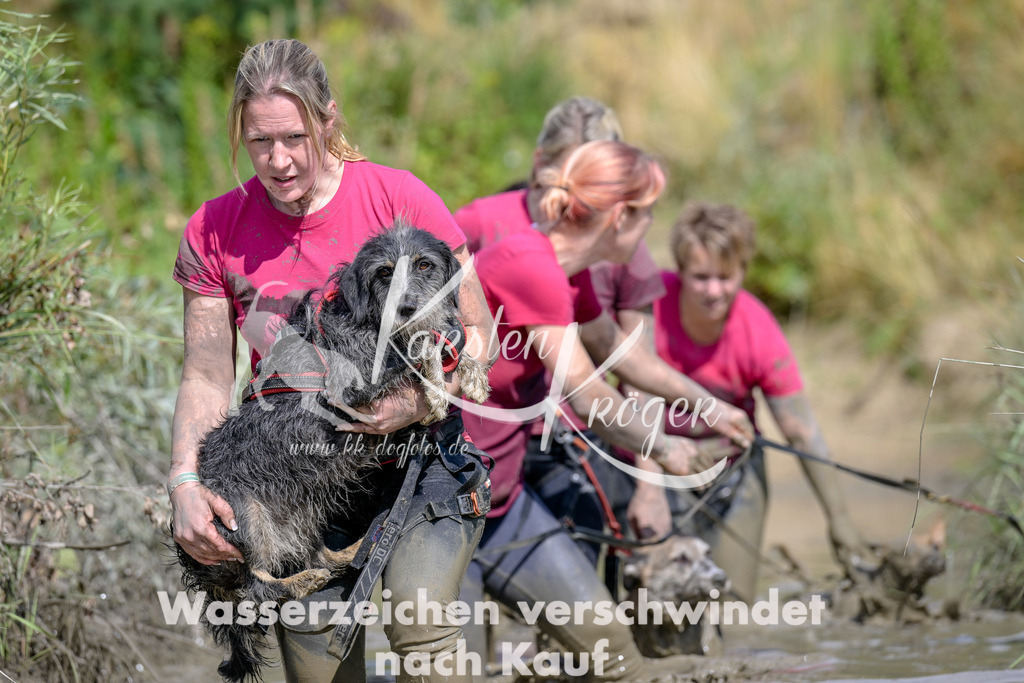 1620_ZZ95447 | kk-dogfotos