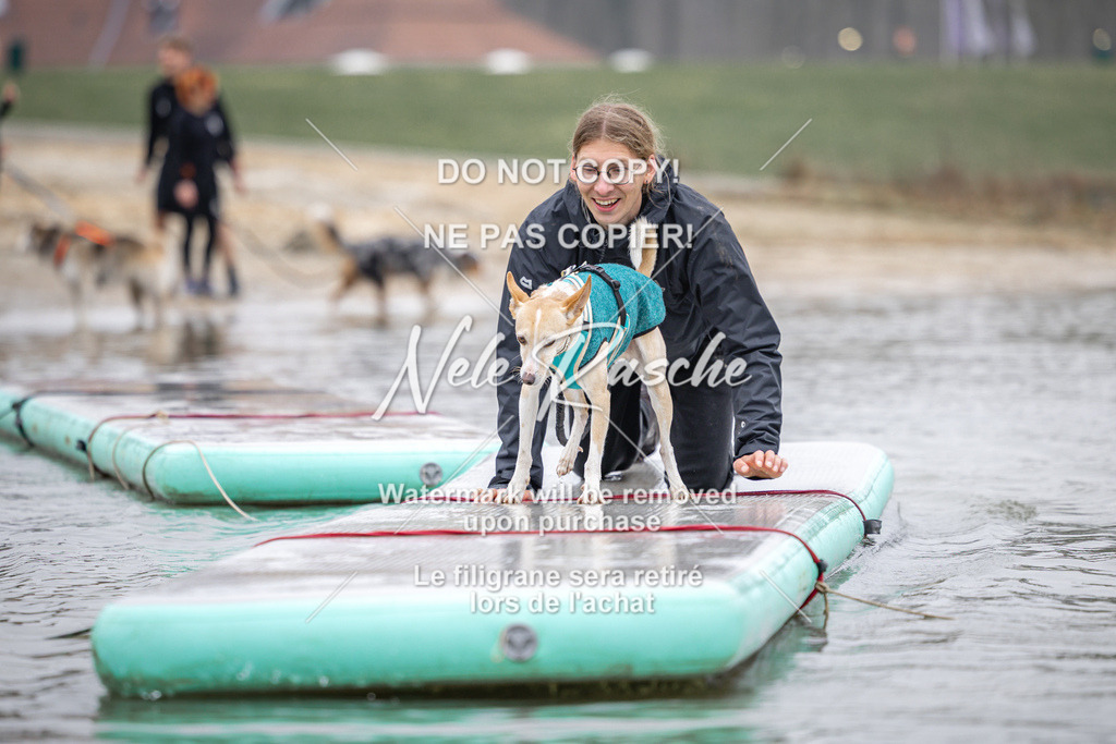 nelerasche_Hulsbeek_Sa1030-1100_483 | nelerasche
