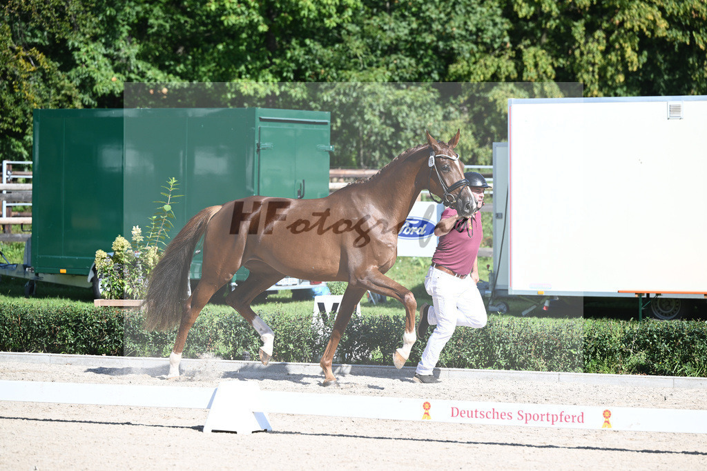Kat-Nr. 16 Qlaudia_Voigtlaender_36230826 | hf-fotografie - Realisiert mit Pictrs.com