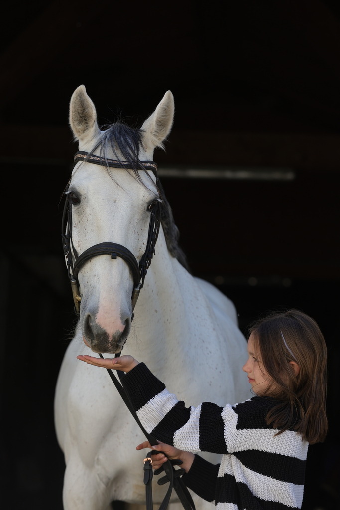 0P6A9006 | Willkommen bei Brunnmayr - Design & Fotografie – Ihrem Spezialisten für Reitturniere und Pferdeveranstaltungen in Oberösterreich, Salzburg und Bayern! Seit über 17 Jahren sind wir leidenschaftlich dabei.