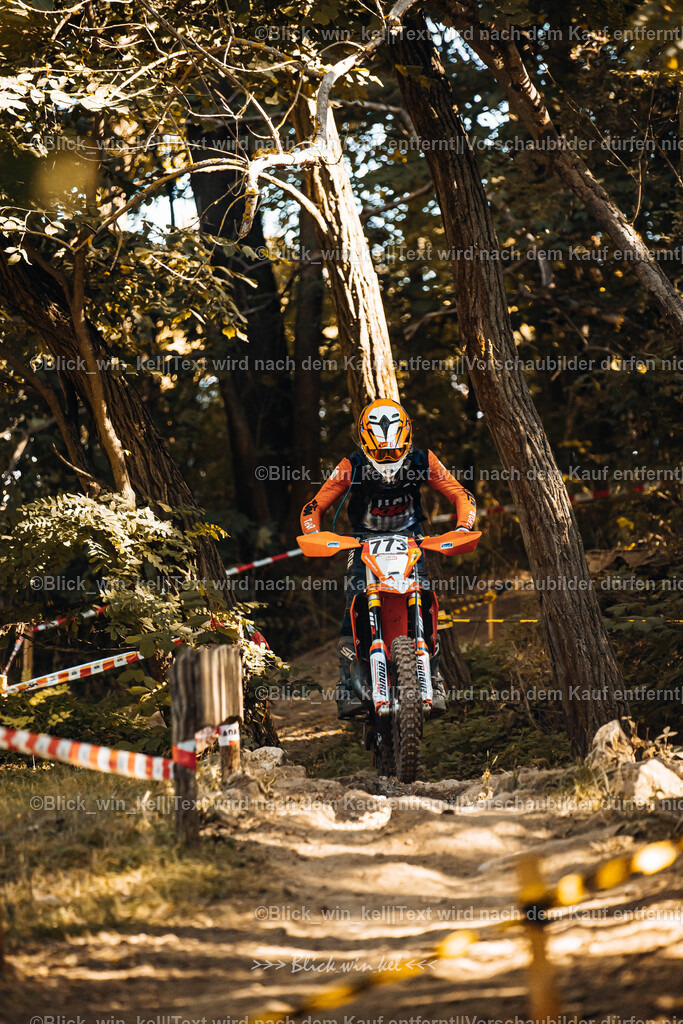 E68A5541 | blick_win_kel