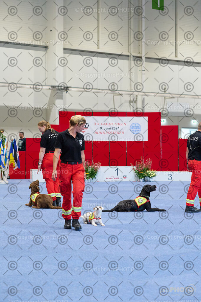 202406_ÖKV-IHA-Tulln24_DSC_4776 | proPHOTO - Realisiert mit Pictrs.com