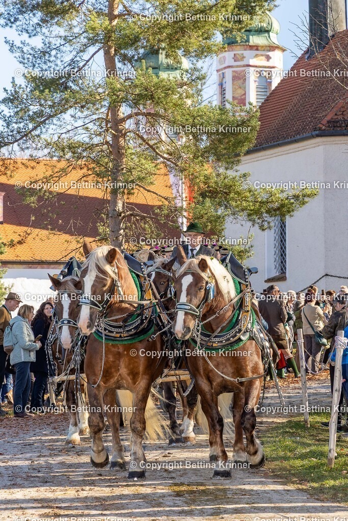 LBT25-1411 | foto-bettina-krinner - Realisiert mit Pictrs.com