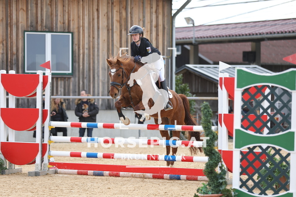 0P6A8102 | Willkommen bei Brunnmayr - Design & Fotografie – Ihrem Spezialisten für Reitturniere und Pferdeveranstaltungen in Oberösterreich, Salzburg und Bayern! Seit über 17 Jahren sind wir leidenschaftlich dabei.